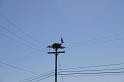 Picture 7661